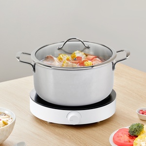 Stainless Steel Cooking <b>Pot</b> With Glass Lid And Stainless Steel Handles <b>For</b> Gas And <b>Induction</b> Stoves - Product Image 1