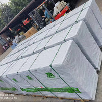 Maison préfabriquée isolée Buck, panneaux sandwich en ciment EPS, murs en polystyrène, blocs de construction, coffrage en béton isolé Buck