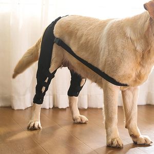 Attelle de jambe pour chien, protection, attelle, blessure de la ligament croisé transversal, restauration, attelle de genou réglable pour chien, support pour la patte arrière, coussin de soutien pour la jambe du chien - Product Image 5