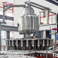 Automatische dranken- en sapvulfabriek 10000BPH 0,5L/500ml PET flesvulfles- en afsluitmachine