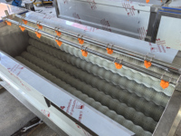 Machine à éplucher de type rouleau brosse pour l'égouttage et le nettoyage des oignons, racines de manioc, carottes, gingembre, pommes de terre et fruits