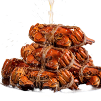 Crabe femelle entier précuit surgelé avec une riche pâte rouge marinée au vin de Shaoxing Hua Diao