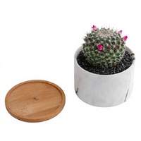 Pots de fleurs en céramique à motifs marbrés nordiques personnalisés, pots à plantes succulentes, vente en gros