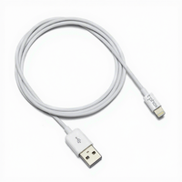 Protecteur de câble de charge USB