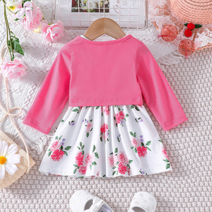 Setelan Gaun Bayi Perempuan Musim Semi dan Gugur Baru Warna Solid Lengan Panjang + Motif Bunga 2 Potong - Product Image 4