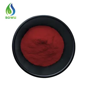 Poudre de superfruit poudre de racine de betterave rouge biologique poudre d'extrait de racine de betterave