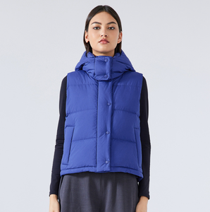 Veste sans manches en duvet d'oie pour femme, hiver 2024, col haut, plumes de canard, légère et respirante, vêtements chauds - Product Image 1