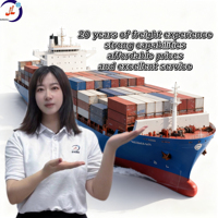 Agent maritime JUNLIN DDP de la Chine au Qatar via LCL+Express avec un service de haute qualité et fiable 24/7, assurance la plus rapide