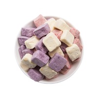 Fabriek Groothandel Gevriesdroogd Fruit Snack Zoet Water Gevriesdroogd Aardbei Durian Ananas Dragon Fruit Bosbessen Bulk