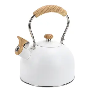 Hot Sale Color Coating 2.5L Whistling Water Kettles Stainless Steel Stove Top Tea Pots For Home Kitchen