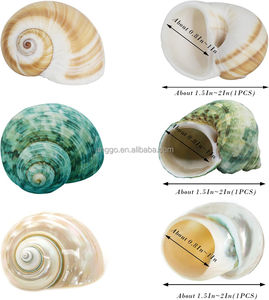 <span class=keywords><strong>Aquarium</strong></span> Decoratieve Materialen Natuurlijk <span class=keywords><strong>Aquarium</strong></span> Microlandschap Heremiet Krab Schelp Schelp Zeeschelpen Zeeschelp - Product Image 2