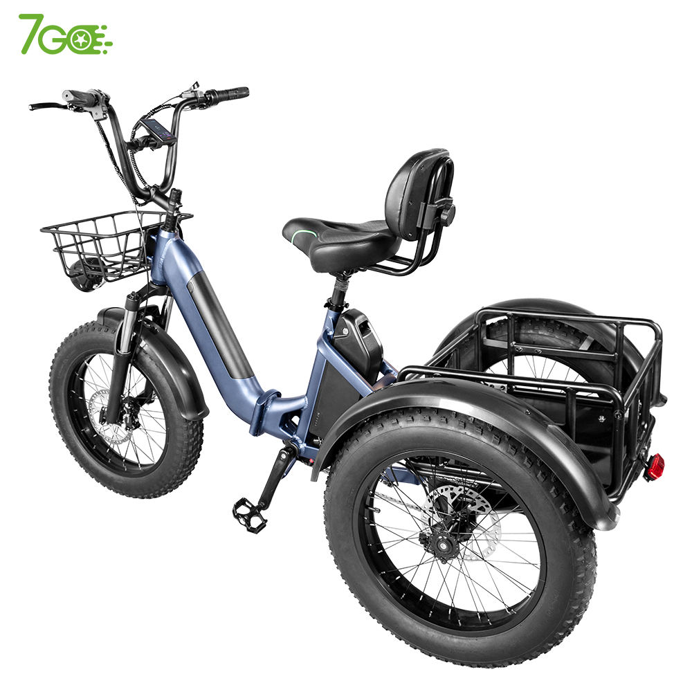 Electric Bike Adult Big Wheel Trike High Quality Adults Battery