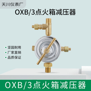Régulateur de pression de gaz Shanghai Tianchuan OXB/3, régulateur d'oxygène en laiton à une seule étape - Product Image 4