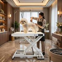 Table de toilettage électrique professionnelle AP-873 avec lumière LED et hauteur réglable, table de toilettage pour chiens avec LED