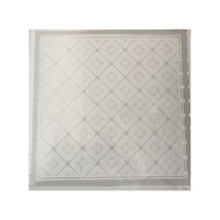 Plaques de plafond en PVC perforées imperméables et ignifuges pour la décoration des salles de bain et des magasins