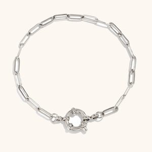 Tarnish-Free 18K Gold Plated Stainless Steel <b>Snake</b> Paperclip <b>Chain</b> Spring Clasp Trendy Geometric Natural Stone Charm Bracelet - Product Image 5