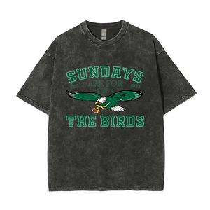 Camiseta DOVEARK Vintage de 250G, 100% Algodón, Personalizada para Equipos Deportivos, Estilo Philadelphia Football Game Day, Lavada, Unisex, Cuello Redondo, para Hombre - Product Image 2