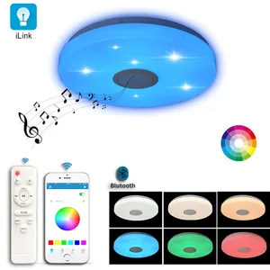Smart Wifi Voice iLink App Control Music Rhythm Lights Flush Mount 16 Colors Stepless Dimming Led Light Ceiling