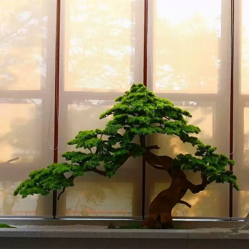 butterfly palm safe for cats Areca Palm Tree for Sale