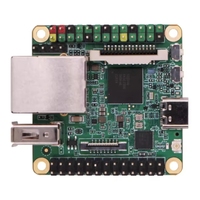 Carte de développement GGDX Milk-V S avec processeur C906 RISC-V ARM, compatible SG2000, fonctionnalités Linux et Android, pour programmeurs