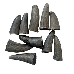 Pointes de corne d'animal naturelles polies, imperméables, vente en gros, haute qualité, personnalisables, corne brute, designs modernes pour objets d'art de collection - Product Image 1