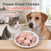 Friandises pour chiens aux tranches de poulet et fraises lyophilisées, vente en gros, pour chiots, chiens de petite, moyenne et grande taille, chats, récompense d'entraînement, collation pour animaux de compagnie
