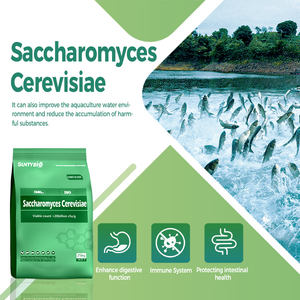 กรดอะมิโนเกรดฟีดยีสต์ผลิตในมณฑลเหอเป่ยประเทศจีนสำหรับอาหารสัตว์ - Product Image 5