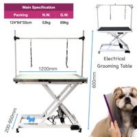 Table de toilettage pour animaux de compagnie, réglable en hauteur, pliable, hydraulique, avec levage pneumatique, éclairée par LED électrique, en acier inoxydable, pour l'épilation