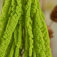 Bunga Amaranthus Kering Gantung yang Diawetkan dengan Gliserin, Batang Dekoratif untuk Pernikahan, Wisuda, Hari Valentine
