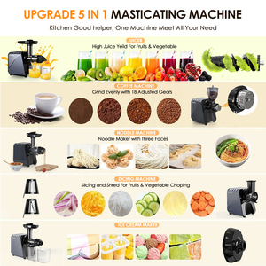 BPA-Free Multi-Functional Slow Masticating Juicer Machine Hot Selling Low Noise Cold <b>Press</b> Slow Juicer Extractor - Product Image 2