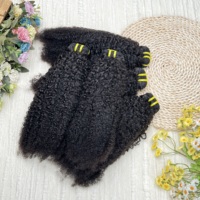 Lot de Cheveux Humains Naturels Vietnamiens de Grade 12A, Alignés dans le Sens de la Cuticule, Afro Kinky 4C