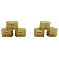 Bouchon en aluminium anti-vol 24*15mm pour bouteille en verre 100ml Flint