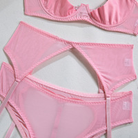 Stripper voir à travers rose Lingerie ensembles Sexy Mature dame chaude pure Bralette soutien-gorge culotte porte-jarretelles ensemble avec couvre-mamelon