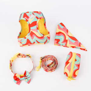 Ensemble de harnais de luxe réglable pour chien de petite taille Collier pour animal de compagnie à sublimation personnalisée avec laisse en nylon Accessoires de luxe personnalisés pour animaux de compagnie - Product Image 1