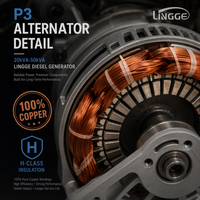 Groupe électrogène diesel silencieux 20kVA 30kVA 40kVA 50kVA, moteur LINGGE, triphasé 480V 240V, ATS, démarrage à distance, pour usage commercial