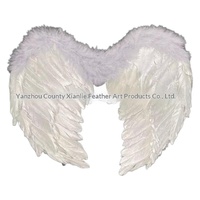 Bestseller transfrontalier Ailes d'ange en plumes de poulet sans logo pour Carnaval, Halloween, Noël, Fête des Enfants, Modèle de scène 005