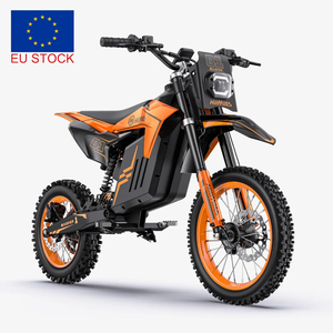 Vélo électrique HillMiles MilePop 1 avec moteur central de 3000 W, batterie 48 V 25 Ah, autonomie de 70 km, vitesse de 50 km/h, roues de 14 pouces / 12 pouces, tout-terrain - Product Image 1