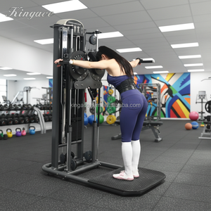 Kingace, fournisseur d'équipements de gym, machines de fitness professionnelles complètes pour intérieur, équipement sportif, ensemble complet de salle de sport AK- - Product Image 4