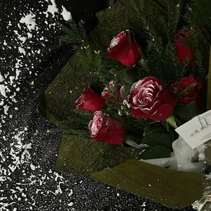 Spray de flocons de neige artificiels pour la décoration des fleuristes, des sapins de Noël, des fêtes et l'amélioration de l'ambiance - Product Image 3