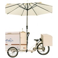 Camión de Comida Gourmet Personalizado con Empuje Manual, Carrito de Helados, Sombrilla, Fábrica de Snacks, Planta Procesadora de Vegetales, Bodega, Comercio Minorista, Carbono