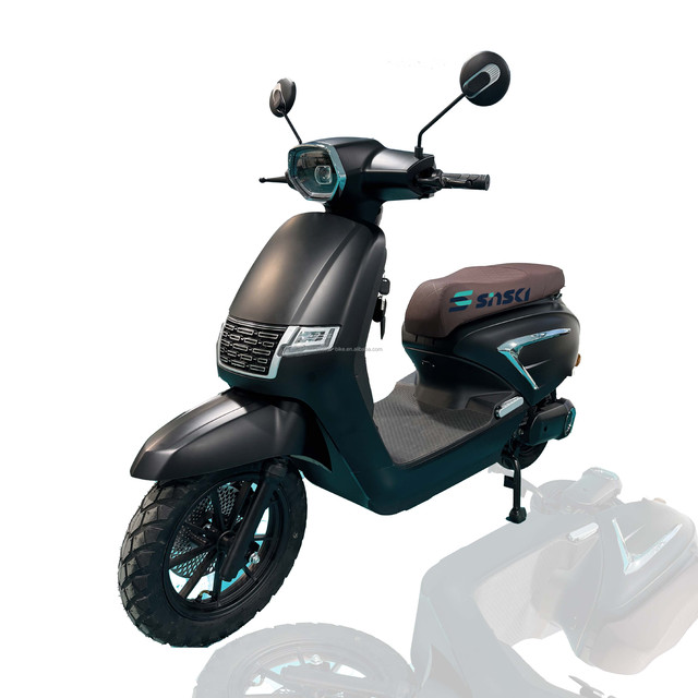 High Performance Adult 2 Wheel Scooter Fast Electr Motorbike 1000w Ckd Long Range Waterproof Moto Dual Motor Electric Motorcycle