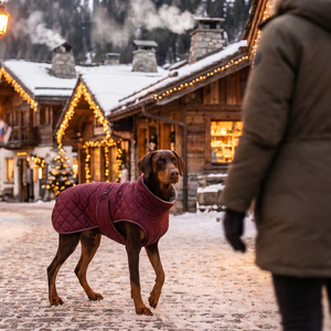 Veste d'hiver matelassée personnalisée pour chien, quatre pattes, col en peau de mouton, toile bordeaux, légère, lavable en machine, Alpine Pet - Product Image 5