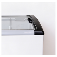 Congelador Comercial de Color Blanco con Puerta Corredera de Vidrio para Helados