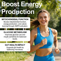 Capsules de berbérine Julong OEM, berbérine HCL plus supplément antioxydant, soutien immunitaire et digestif, santé du poids, pour hommes et femmes