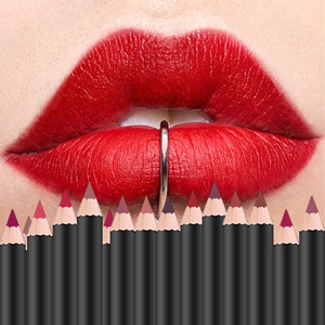 12 adet dudak makyaj mat kremsi dudak kalemi uzun ömürlü su geçirmez Lipliner - Product Image 2