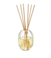 Le diffuseur élégant de roseau place la décoration à la maison avec infuser votre espace avec le parfum subtil