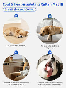 Tapis d'apprentissage réutilisables pour chiots à <span class=keywords><strong>prix</strong></span> abordable – Meilleures ventes - Product Image 5