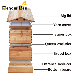 Hoa Kỳ Miễn Phí Vận Chuyển Tự Động Gỗ Ong Tổ Ong Tự Động Khung Nghề Nuôi Ong Thiết Bị Tổ Ong Miễn Phí Chảy Mật Ong Tổ Cơ Sở <span class=keywords><strong>Hive</strong></span> - Product Image 6
