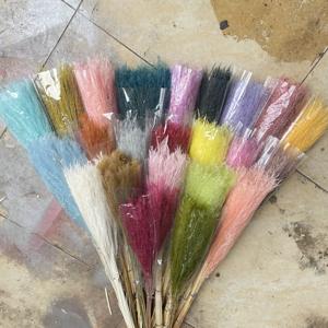 Flor de Pampa seca superventas, flores de caña seca Bohemia, fragmitas esponjosas para decoración de boda - Product Image 1