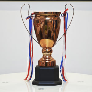 Trophées et médailles de la <span class=keywords><strong>Ligue</strong></span> <span class=keywords><strong>des</strong></span> <span class=keywords><strong>champions</strong></span> Trophées en métal de basket-ball personnalisés Médailles Plaques Trophée - Product Image 3
